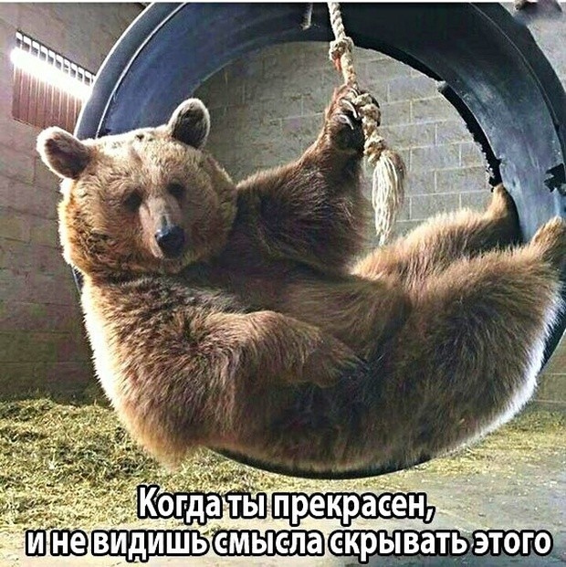 Чуток картинок 24.06.19