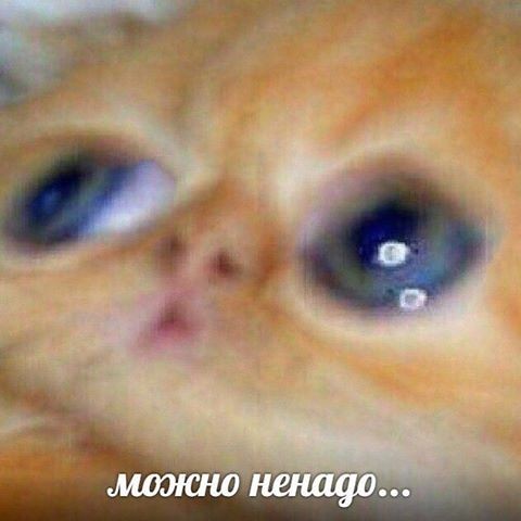 Делайте добро, и стократно воздастся вам!