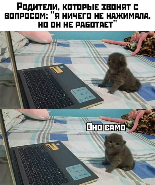 Алкопост! В картинках