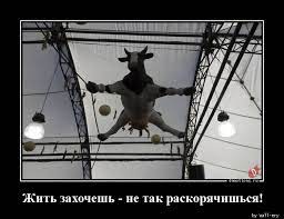 Во Вьетнаме сняли невозможный побег