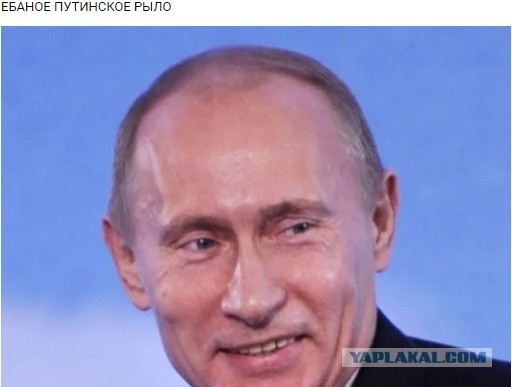 Владимир Путин удивлён