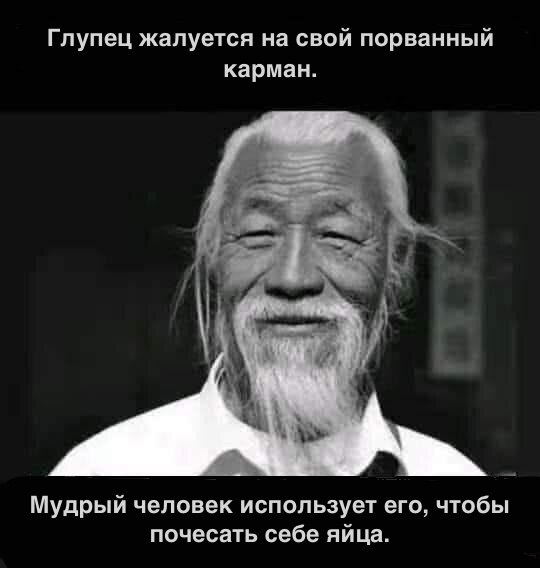 Весёлый полтишок 23.04