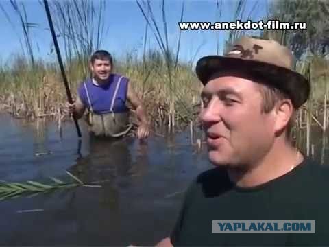 Жара, а многие женщины на улице в джинсах (лосинах), почему?