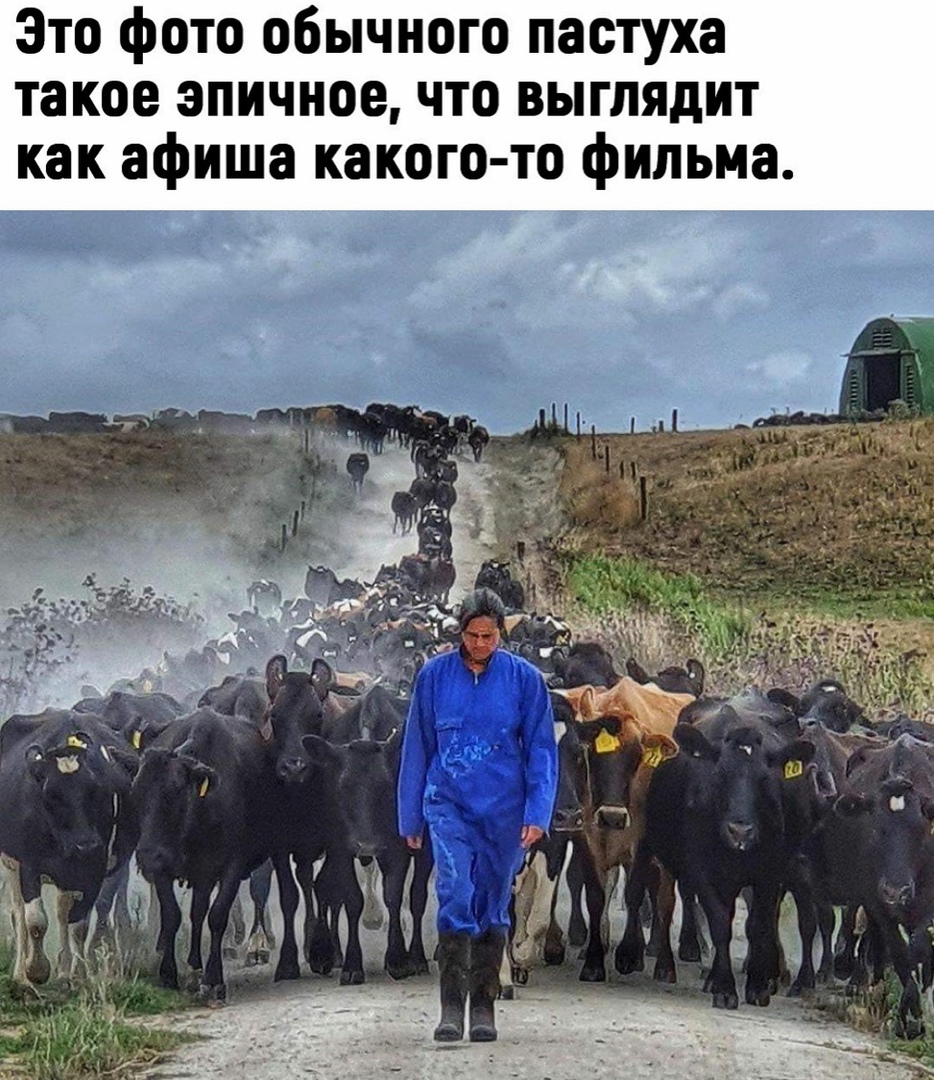 16184411.jpg