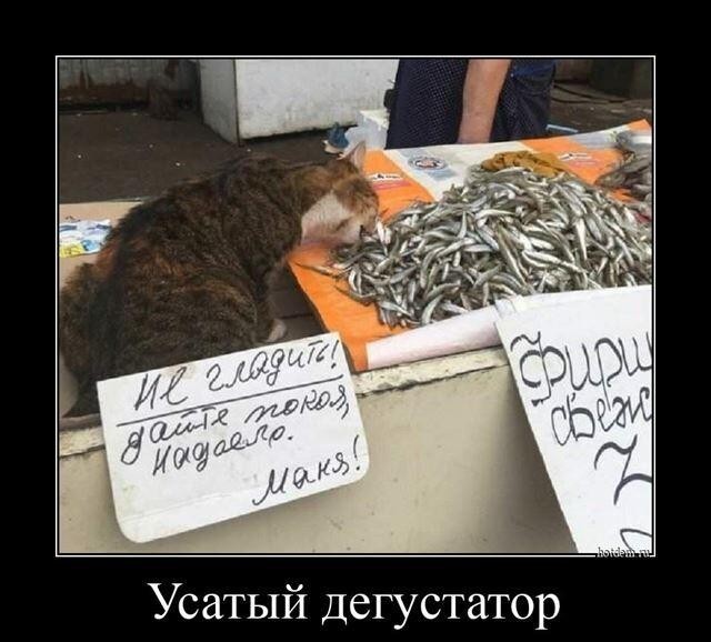 Картинки с надписями 22.06.22