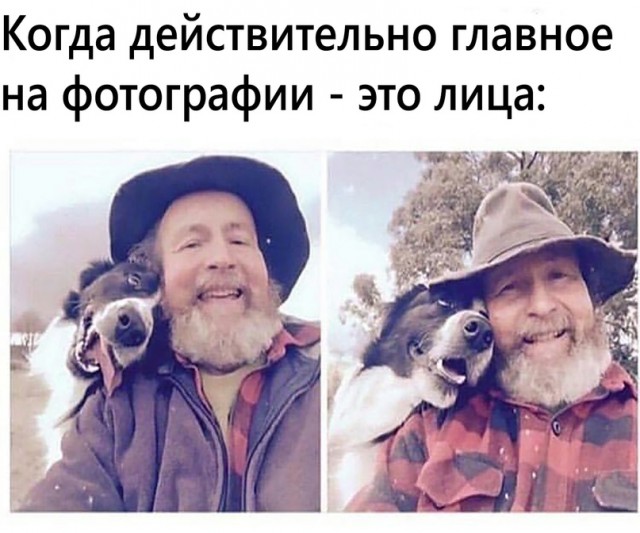 Картинки и мемы для настроения - 19