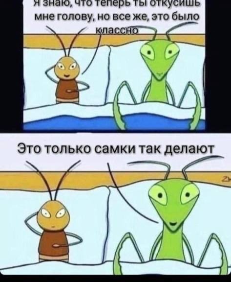 40 пятничных картинок 26.05.2023