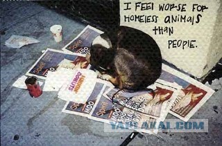 Postsecret - Расскажи свой секрет