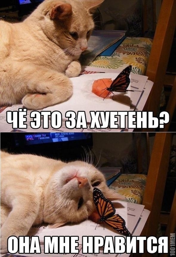Так себе картинки 20.10.23
