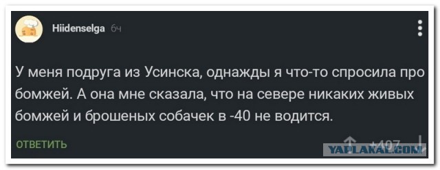 Забавные комментарии из социальных сетей (01.04.24)