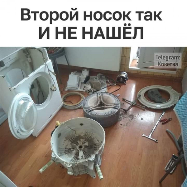 Немного забавных картинок от 23.10.2024