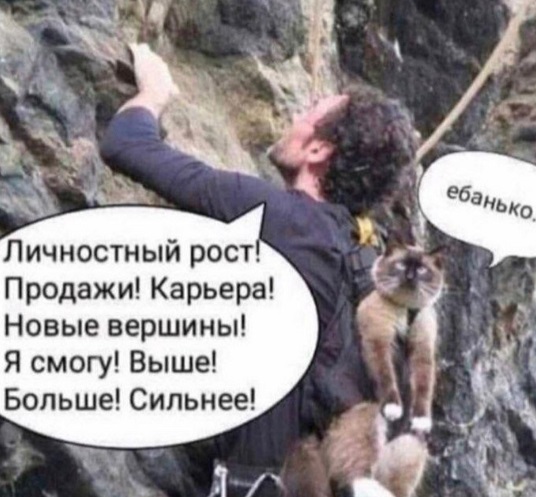 Какая муха тебя укусила?