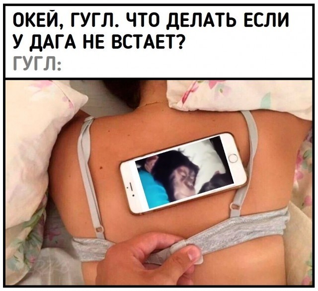 Дичь. Просто дичь