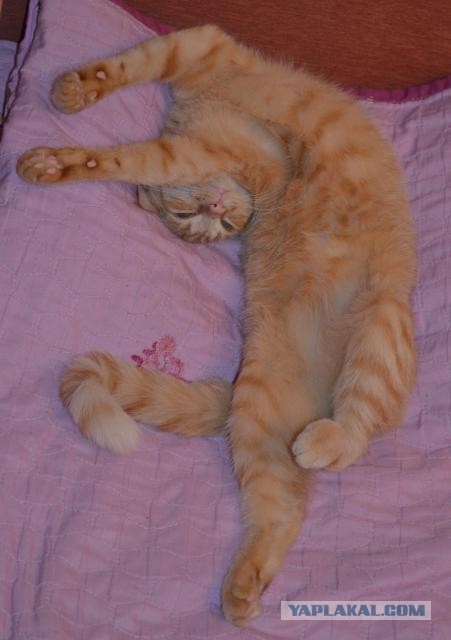 А ты живи с этим