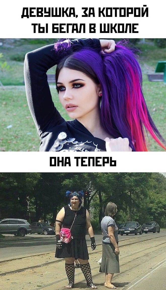 20329411.jpg