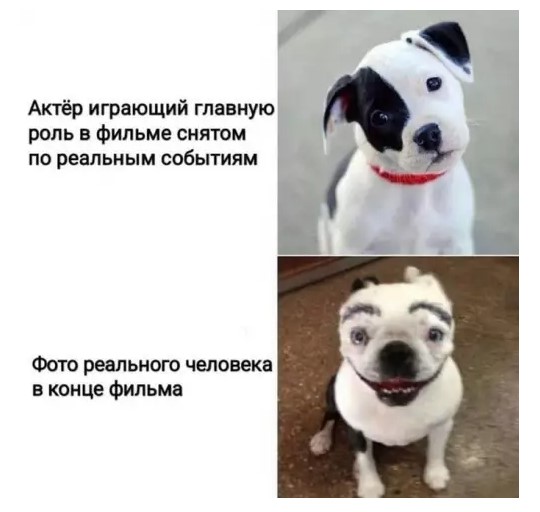 Картиночки, баянчики 16 марта