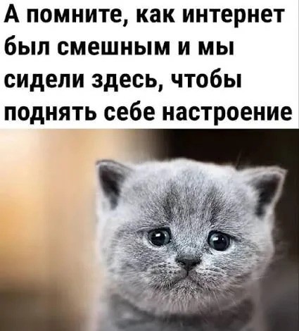 К котовторнику: подборка картинок-баянов с котиками и про котиков. Выпуск 38.