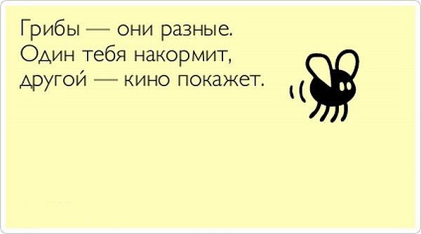 Лучшие  «аткрытки»года