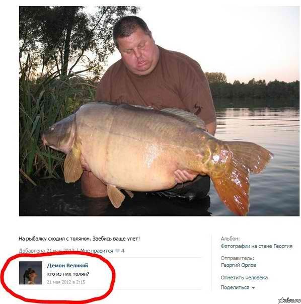 Смешные комментарии из социальных сетей