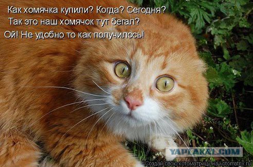 Поднимаем настроение