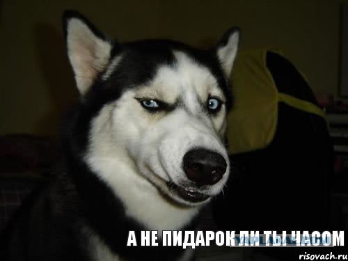 Тогдашний мажор