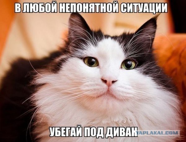 Постараюсь показать новую тему с картинками