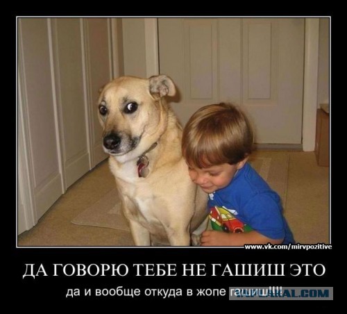 Вот такой вот фейерверк
