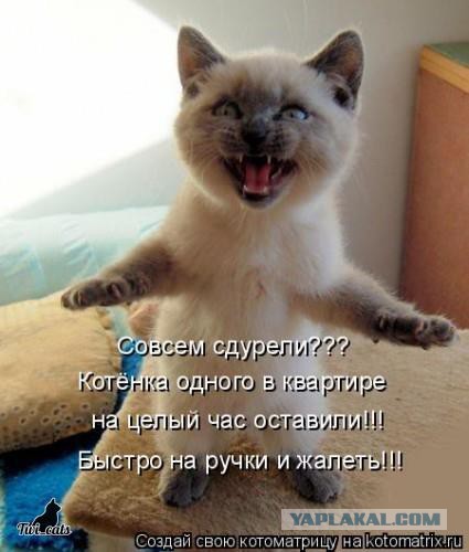 Очередная порция картинок из сети