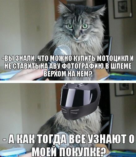 Всякое разное из соцсетей