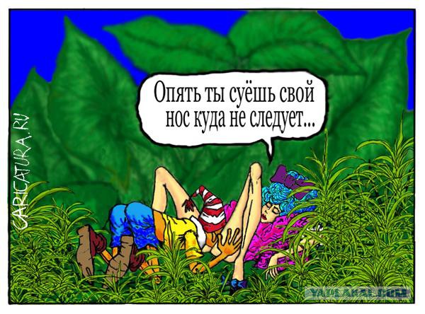 Рисованные эротические приколы