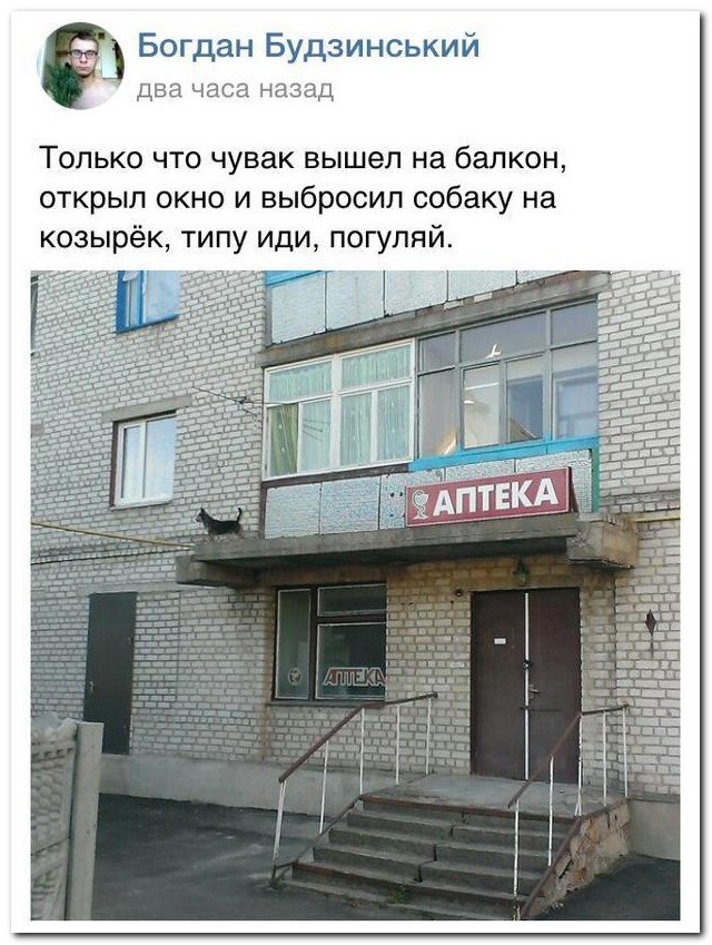 Ужасы и приколы из соцсетей 18+