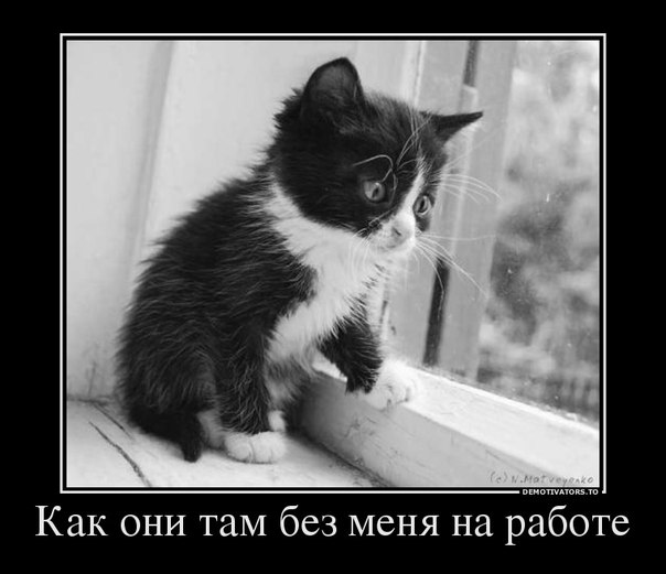 Картинки и демотиваторы