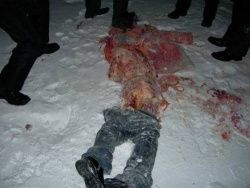 Убил медведя - штраф 3 тыщи