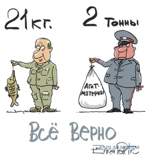 Карикатуры от Студии 13