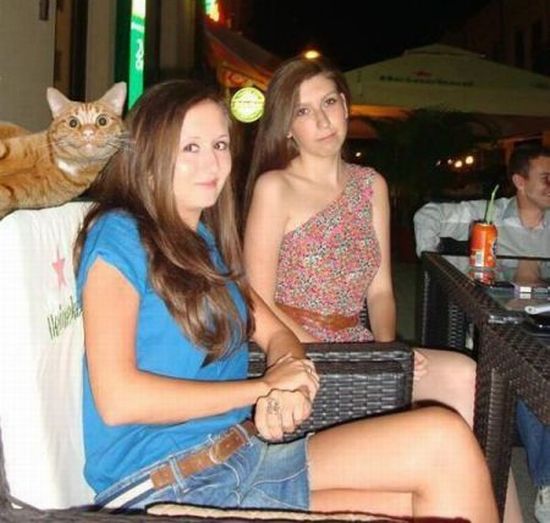 Подборка интересных и веселых картинок