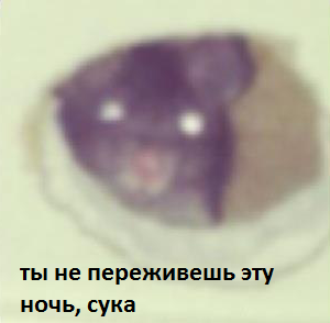 Мышь