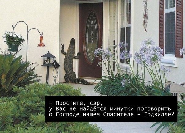Деятельность «Свидетелей Иеговы» официально приостановили в России