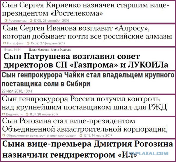 Племянницу Рогозина назначили директором Сочинского национального парка