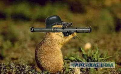 Автомобиль Выживания