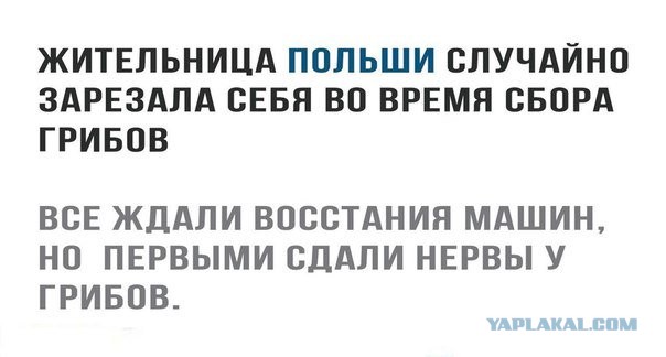 Снова пятница. И немного слегка пошлых картинок с надписями и без 16+ (31.07)