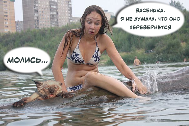 А давайте пожабим эту деваху