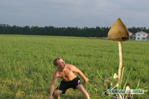 Фотожаба: Страх в глазах