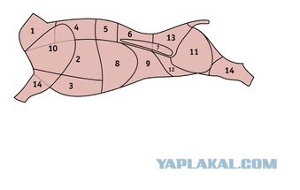 Шпаргалка для кухни