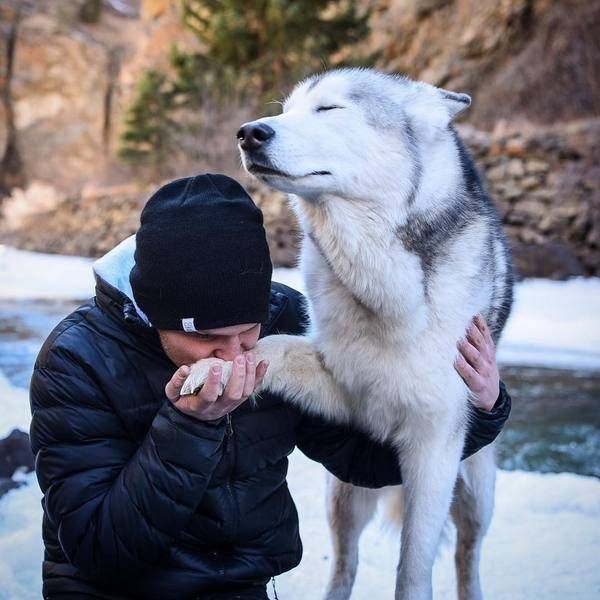 Картинки и мемы, всем прекрасных выходных
