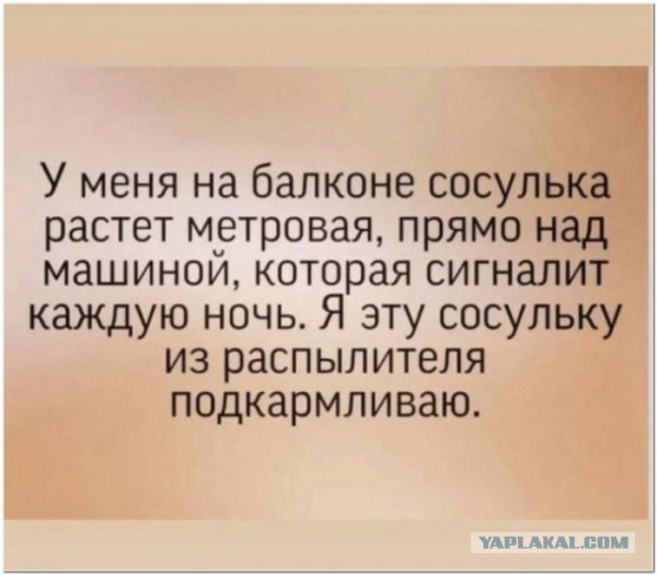 Мемасики от Димасика - Часть 1 (+20 мемов)