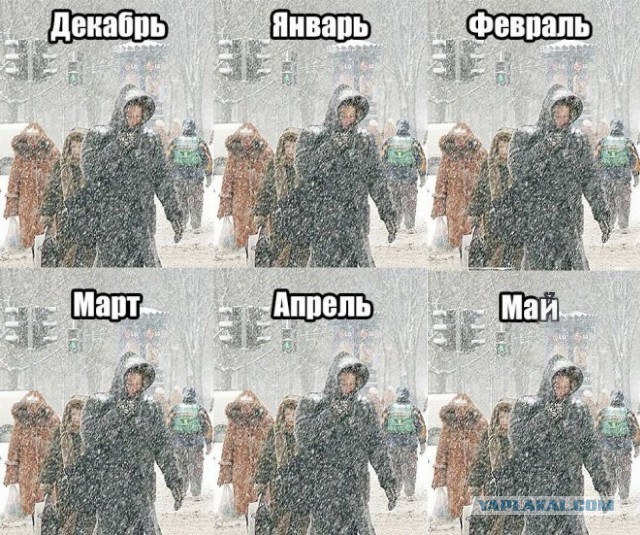 Картинки и мемы, всем отличных выходных