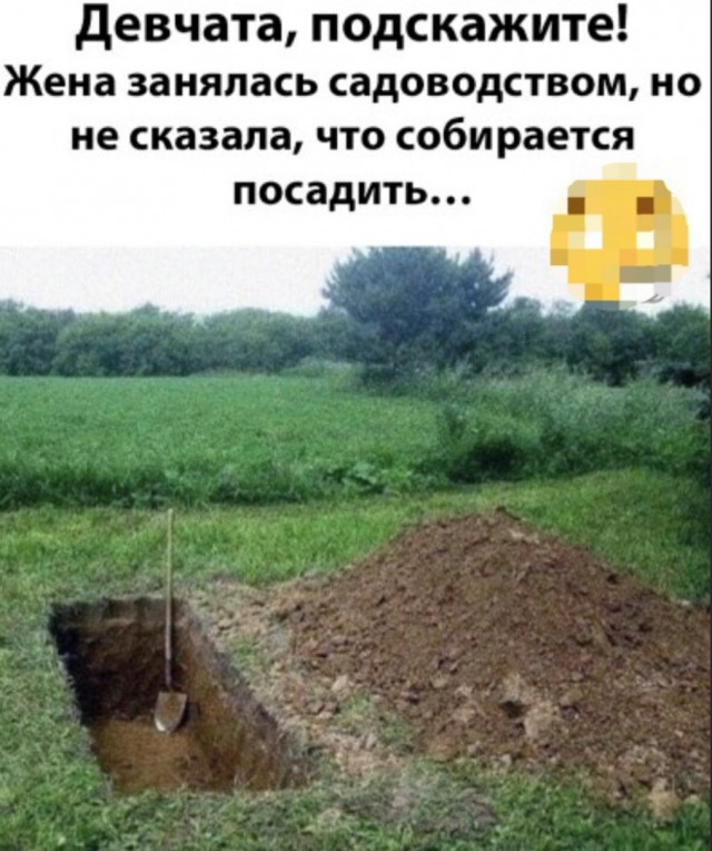 Картинки и мемы, выходные продолжаются