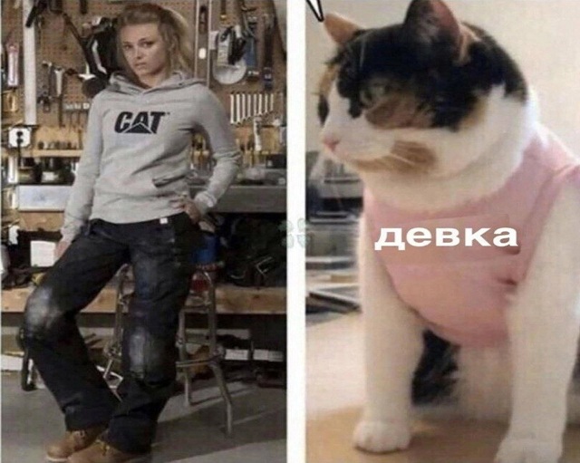 Осада Козельска