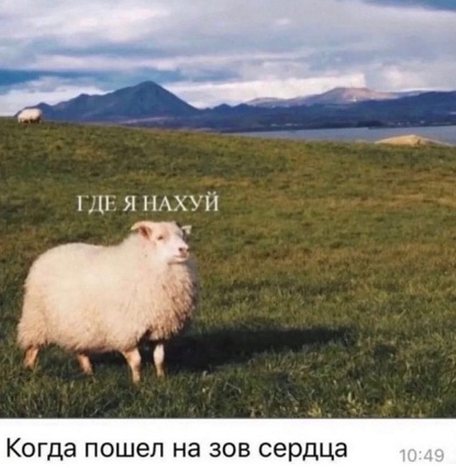 Ну, с богом!
