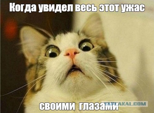 Тем временем в семейном чатике Букингемского дворца